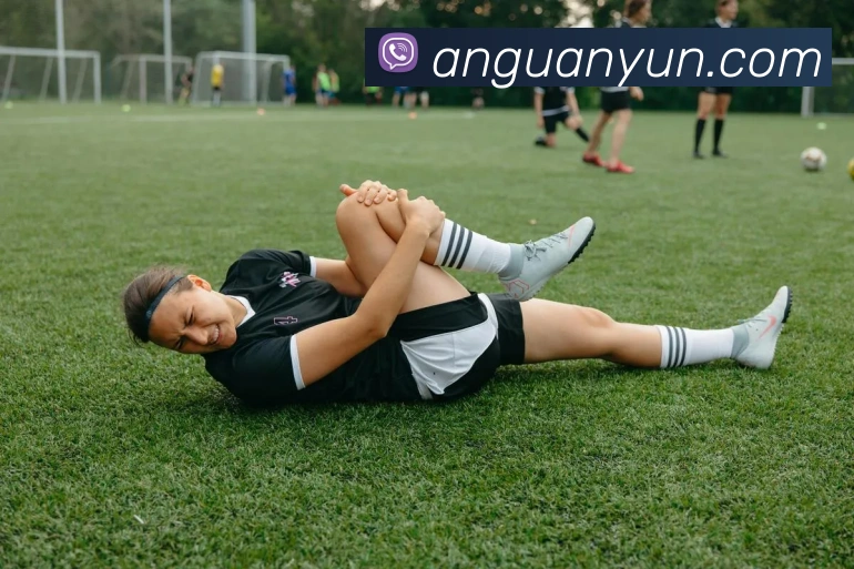 开云APP 高清赛事图